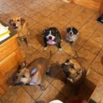 Profile Picture of Tara Eileen Pfeiffer (@tara_pfeif) on Instagram