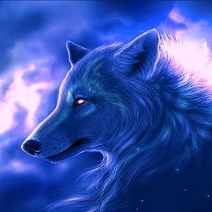 Profile Picture of Fernando Gongora (@fernandogongo11) on Twitter