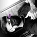 Profile Picture of Andres Benjamin (@andres.benjamin.522) on Facebook