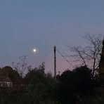 Profile Picture of Alice Chainey (@Alice-Chainey) on Facebook