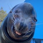 Profile Picture of 🥑Jay Stilinski🏁 (@jayliu4) on Instagram