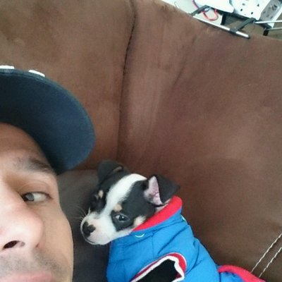 David López - Twitter Profile Picture of David López (@11milhouse11) on Twitter