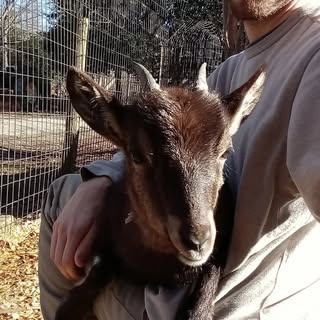 Profile Picture of Bretton Fletcher (@brettonfletcher) on Instagram