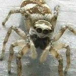 Profile Picture of Karl-Heinz Schwabe (@willi_120) on Instagram