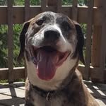 Profile Picture of Brad Chesney (@chesney.brad) on Instagram