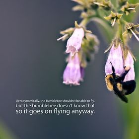 Profile Picture of Marlene Rusczyk (@auntimar) on Pinterest