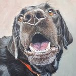 Profile Picture of Nancy Ross (@nancyrossart) on Instagram