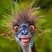 Profile Picture of Stephen Pendleton (@stephen.pendleton.94) on Facebook
