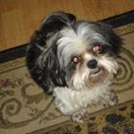 Profile Picture of David P Bracewell (@davidpbracewell) on Instagram