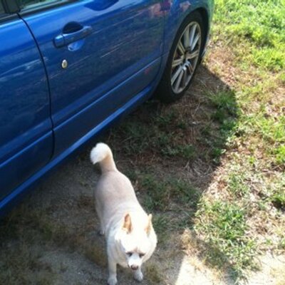 Profile Picture of Ken Jin (@kenjin555) on Twitter