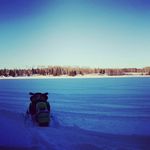 Profile Picture of Jason Ferguson (@jayfergs) on Instagram