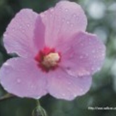 Profile Picture of Carlos Naula (@carlosnaula) on Twitter