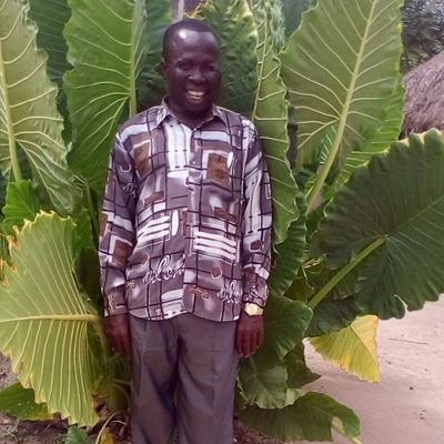 Profile Picture of Daniel Hlordzi (@danay120) on Twitter