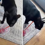 Profile Picture of Brandon Luke (@Brandon-Luke) on Facebook