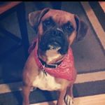 Profile Picture of Dustin Bierch (@bierchdustin) on Instagram