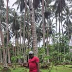 Profile Picture of Robert Lupa (@Robert-Lupa) on Facebook