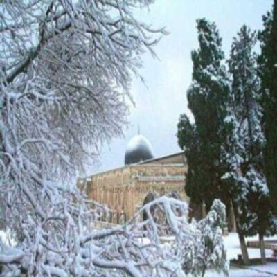 مفكر .. - Twitter Profile Picture of مفكر .. (@BrentChavez3) on Twitter