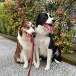 Profile Picture of Jacqueline Lim (@bibikdiamonds) on Instagram