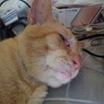 Profile Picture of Paula Brookes (@paula.brookes.33) on Instagram