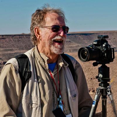 Profile Picture of David Nissen (@BearPrint0) on Twitter