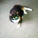 Profile Picture of Patricia  keating (@keating6323) on Instagram