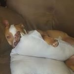 Profile Picture of Christian Gailliard (@gailliardchristian) on Instagram