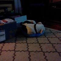 Profile Picture of Alice Rita Hand-corwin (@alice-rita-hand-corwin) on Quora