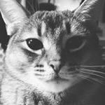 Profile Picture of Martin Bruner (@blackandwhitesquareportait) on Instagram