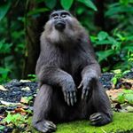 Profile Picture of Warning (@ndabrian) on Instagram