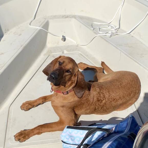 Profile Picture of Jackson Thomas (@jacksonthomas1) on Poshmark