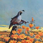 Profile Picture of Shere Shaw (@shawshere) on Instagram