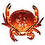 Profile Picture of andy rowe (@slatepipe) on Flickr