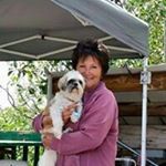 Profile Picture of Sandy Adamson Curtis (@sandycurtis000) on Instagram