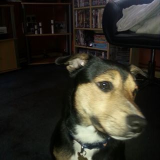 Profile Picture of Joyce Stead (@joyce.stead.98) on Facebook