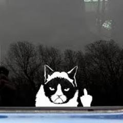 Profile Picture of Jacob Queen (@jacobqueen12) on Twitter