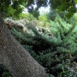 Profile Picture of Cleo (@cleomooneys401) on Instagram