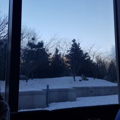 Profile Picture of Ju Hyeon Lee (@Dontknowwell) on Twitter