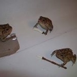 Profile Picture of Mateo felix avendaño (@mateo_felix415) on Instagram