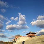 Profile Picture of Jerry Ning (@ning2266) on Instagram