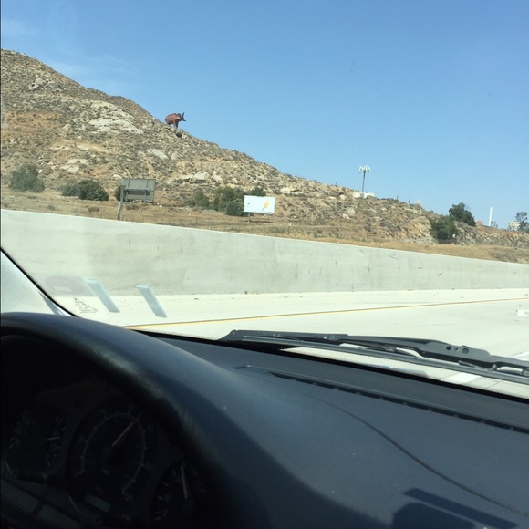 Lorna Miles - Poshmark Profile Picture of Lorna Miles (@preciouslaxious) on Poshmark