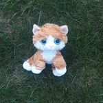 Profile Picture of Holub/Jeff/Bety (@holub_fusion_tour) on Instagram