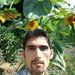 Profile Picture of payam yazdani (@payamyazdani1) on Pinterest