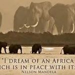 Profile Picture of Sandy McDonald (@sandymcdonald6219) on Instagram