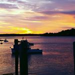 Profile Picture of Buster Paul (@buster_paul) on Instagram