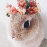 Profile Picture of Hannah Dunham (@hannah-dunham-1) on Quora