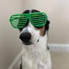 Profile Picture of Jeremy Parrott (@@jeremyparrott) on Tiktok