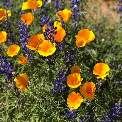 Profile Picture of Reese Marshall (@marshall_reese) on Twitter