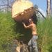 Profile Picture of Joshua shute (@joshuashute4) on Pinterest