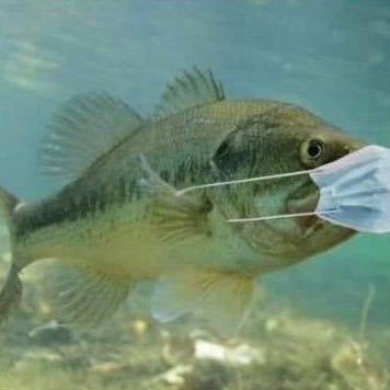 Profile Picture of John McGovern (@JonMack8874) on Twitter