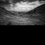 Profile Picture of tara_bennettw (@tara_bennettw) on Instagram